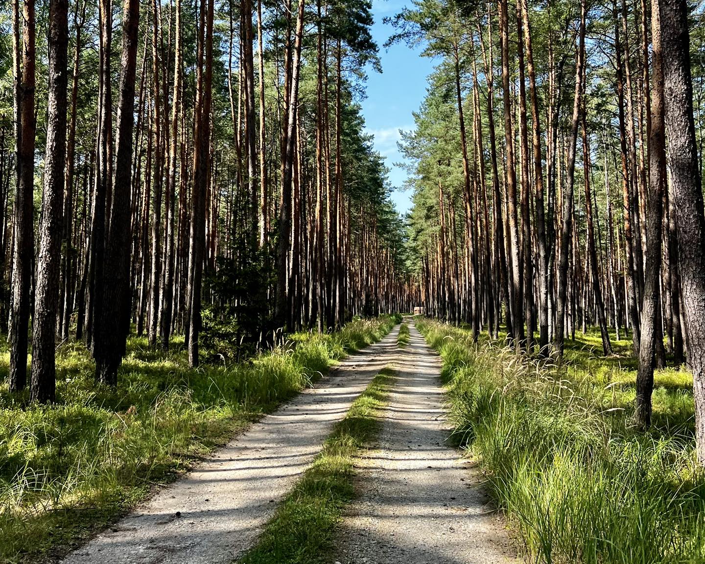 Wakacje nad Jeziorem Turawskim 6 dni